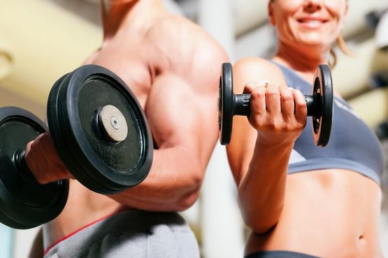 Synthol Ergebnisse: Ein Blick auf die Anwendung und Auswirkungen Synthol Ergebnisse: Ein Blick auf die Anwendung und Auswirkungen