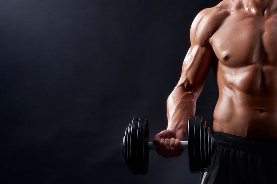 Leffetto degli steroidi anabolizzanti sul metabolismo Leffetto degli steroidi anabolizzanti sul metabolismo